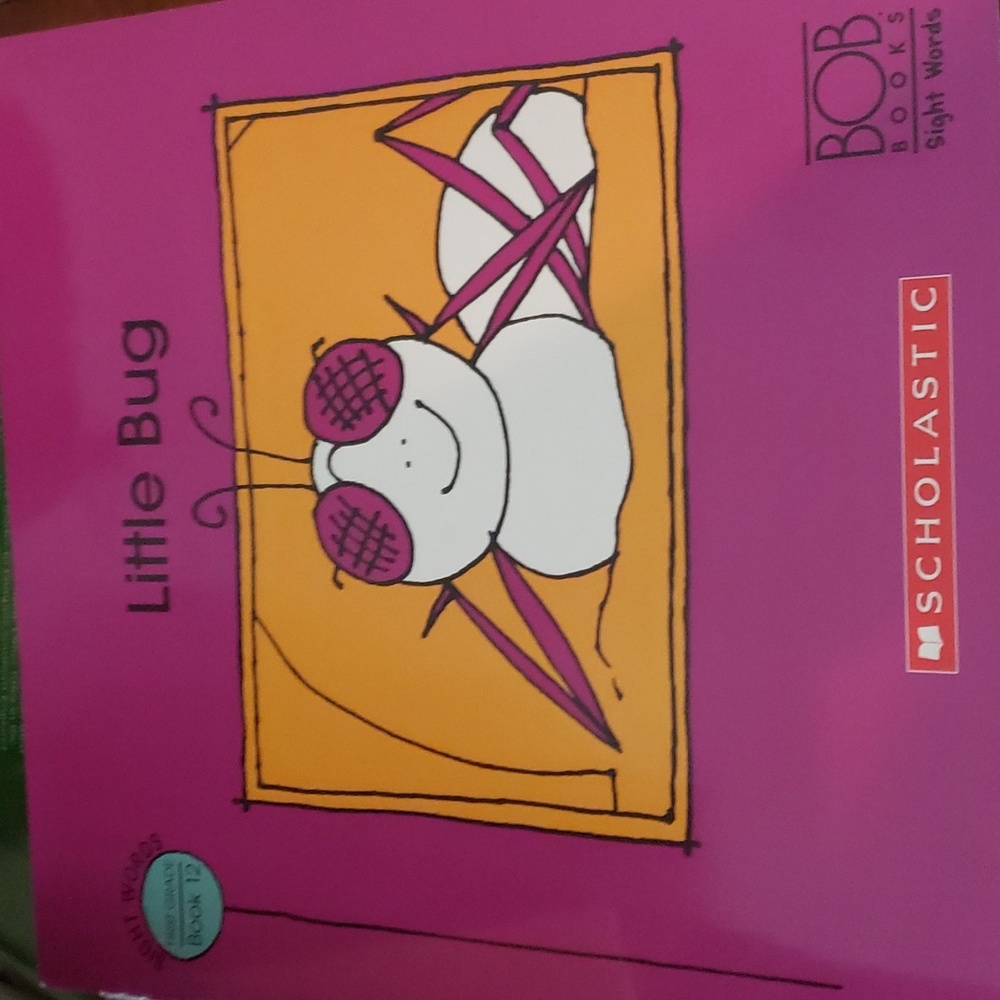 Little Bug Book 12